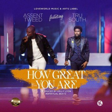 How Great You Are Assent Tweed