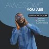 Awesome You Are Josh Wisdom