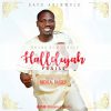 Hallelujah Praise Dayo Akinwole